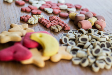 Dog tasty colored biscuits, snacks for dogs 
