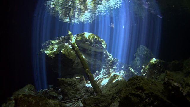 dive into the cenotes, Yucatan, Mexique.