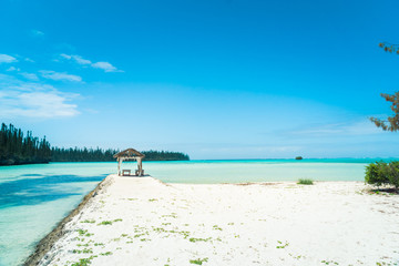 tropical beach with palm trees and white sand