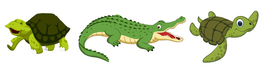 Cute crocodile and turtles. Reptile set Vector illustration, isolated on white background