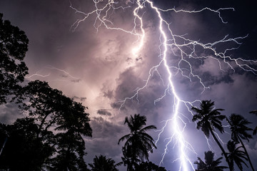 Shocking lightning at night