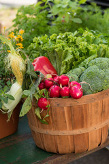Radishes and other vegetables at the market