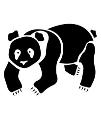 Oso. Oso pardo. Oso panda.