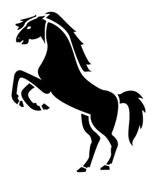 Caballo a dos patas, relinchando. Yegua. Potro. Potrillo.