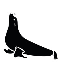 Foca. León marino. Morsa. © isabelgalán