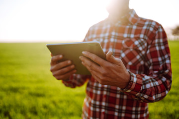 Farmer with a  digital tablet in his hands, checks the condition of young wheat in the field. Copy  space of the setting sun rays on horizon In rural meadow.  Rich Harvest.