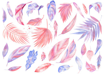 Palm pink leaves on isolated white background,  watercolor illustration, pastel painting, greeting card