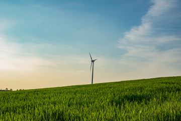wind turbine on a field