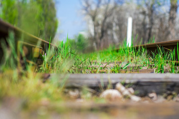 Abandoned railway
