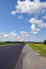 Russian open spaces. Summer landscape in Western Siberia
