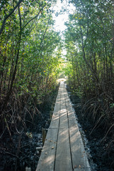 Porto de Pedras / Alagoas / Brazil. January, 26, 2015. Wooden bridge over the estuary and mangrove...