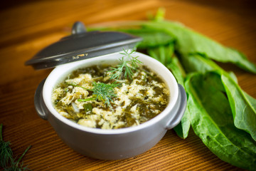 fresh spring organic soup with green sorrel and egg in a plate