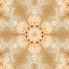 illustration. Abstract image of a wooden texture of a poplar root tree