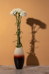 White Carnation flowers in vase isolated with shadow on ivory background. Shallow depth of field