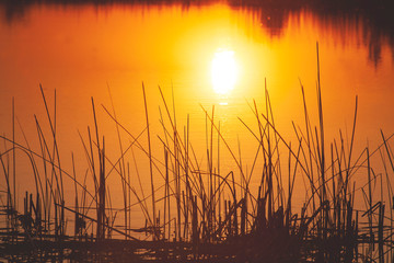 reflection of sunset in the lake water. beautiful sunset in the lake water