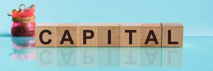 CAPITAL - word from wooden blocks with letters, to divide or use something with others share concept, blue background