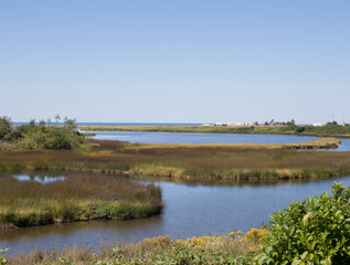 Ocean water snaking through marshy shores in Prince Edward Island, Canada