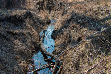 Frozen stream in spring Park