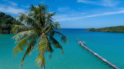 Fototapeta na wymiar Coconut palm tree aerial drone view with pier in background on tropical paradise island in Koh Kood, Thailand