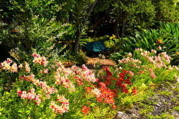 Botanical garden in Funchal, Madeira, Portugal, Europe