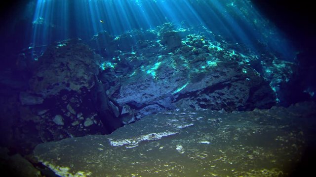 dive into the cenotes, Yucatan, Mexique.