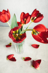 A bouquet of fading red tulips