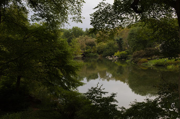 Fototapeta na wymiar Lake in the Central Park