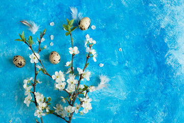 Fototapeta na wymiar Beautiful blossoming white branch of apricots, cherries or other fruit or berry tree and quail eggs on blue creative concrete background. Surface is painted with strokes of blue and white paint
