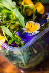 Fototapeta na wymiar Arugula salad with edible flowers
