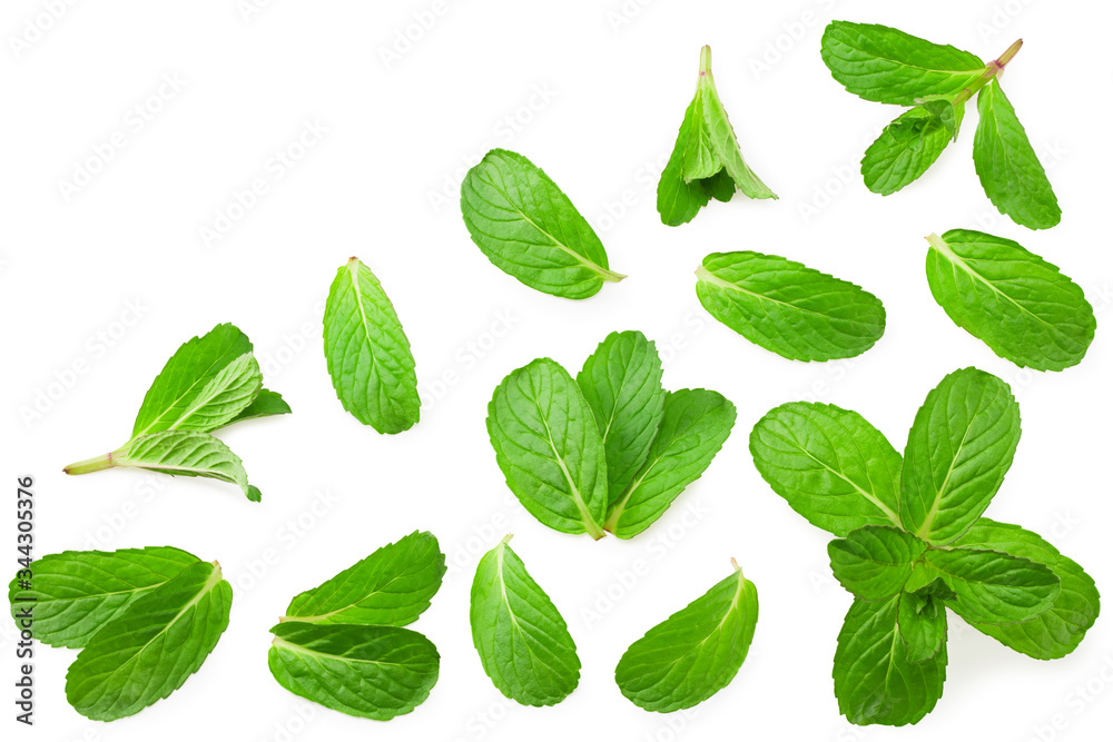 Wall mural Fresh mint leaves isolated on white background. top view