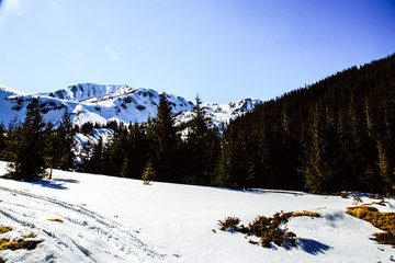 Landscape Freeride in the wild Carpathian mountain near big rocks.