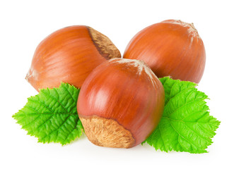 hazelnuts with leaves isolated on white background