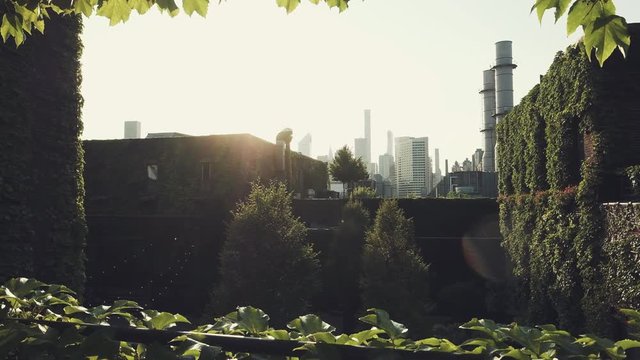 View from the terrace covered with green ivy of the big industrial city on the background and a place for the banquet celebrating surrounded with building covered with green ivy leaves