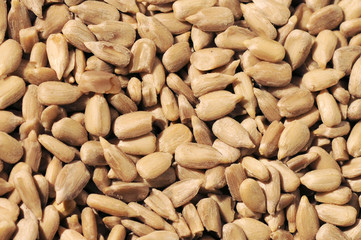Sunflower seeds extreme close up background