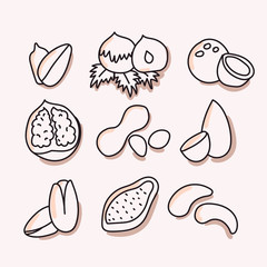 Set of nuts and seeds on an isolated background. Macadamia, hazelnuts, walnuts, sunflowers, pistachios, cashews, almonds. Nuts on a white background, doodles. Logo of a loyalist, website. Vector.