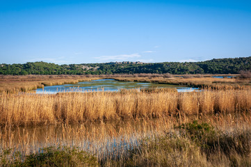 the robine canal with rushes in the ponds near Narbonne at sunset