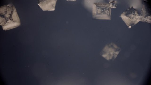 macro photography macrocosm. timelapse structure shot under a microscope