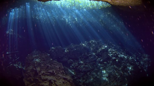 dive into the cenotes, Yucatan, Mexique.