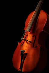 Cello auf dem schwarzen Hintergrund