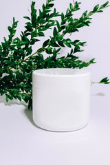 white jar with cosmetics on a white and green background