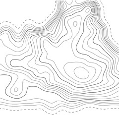 Topographic map background. Grid map. Abstract vector illustration.