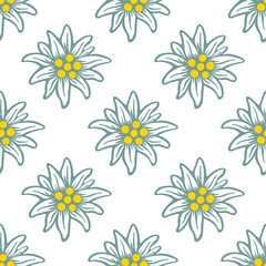 edelweiss flower icon vector alpine logo pattern, seamless, tile, background - 344313938