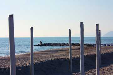 wooden stakes lined up in the lonely sandy beach during the quarantine