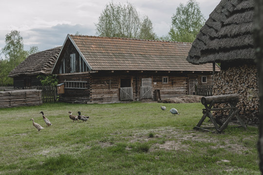 wiejska zagroda