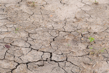 dry cracked earth