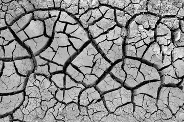 Background texture of cracked earth
