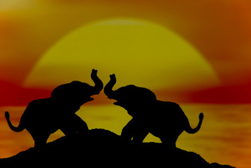 Elefantes en amor
