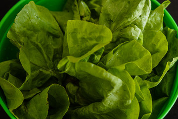 Hojas de lechuga con gotas de agua