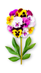 Offbeat flower of pansies. Composition of colorful pansies with peony leaves. Art object on a white background.