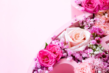 Natural floral background. Roses in a soft color scheme close-up on a pastel pink background.